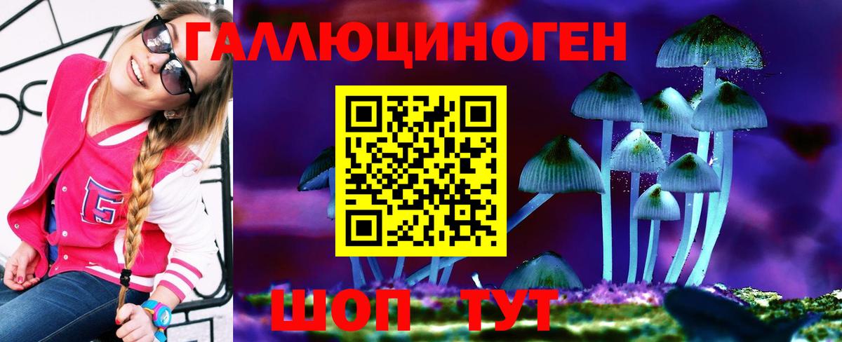 Галлюциногенные грибы прущие грибы  Вход с VPN  Мыски 