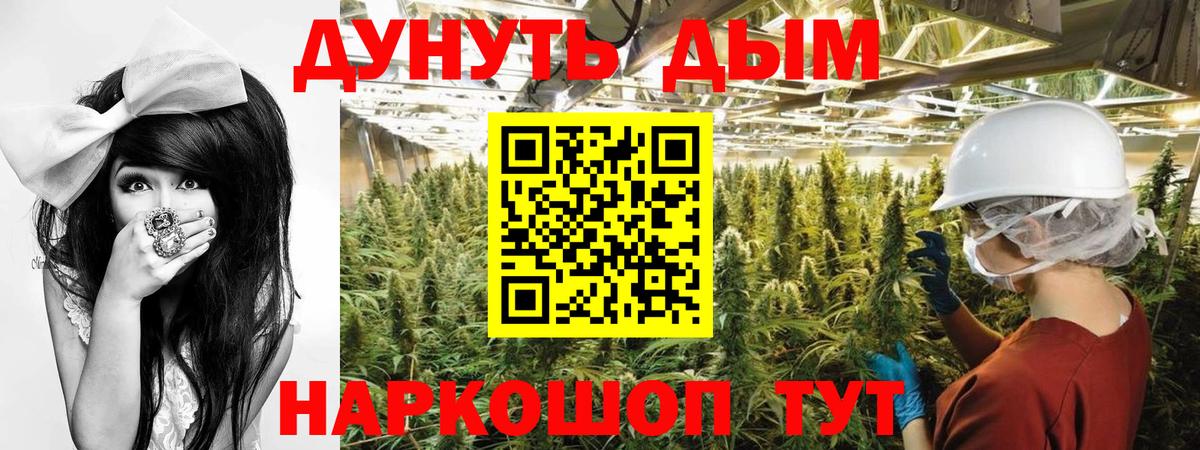 Мыски  МАРИХУАНА гибрид  Бошки Шишки OG Kush  Бошки марихуана OG Kush  Вход с VPN 